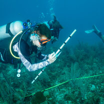 GVI: Marine Conservation Volunteering