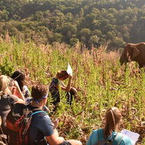 GVI: Volunteer in Thailand