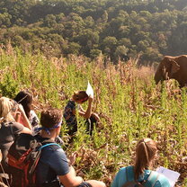 GVI: Volunteer in Thailand