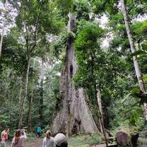 Biodiversity monitoring