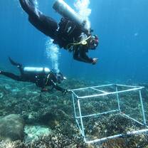 Scientific Diving at its best :)