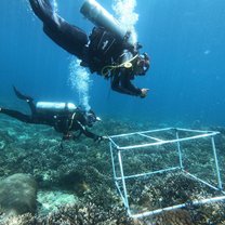 Scientific Diving at its best :)