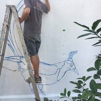 Blank canvas