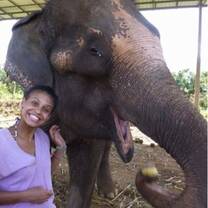 Elephant Volunteering in Thailand