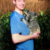 Holding a Koala at a local Rainforest.