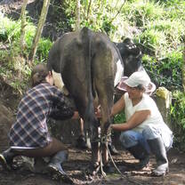 Volunteering in a Farm in Ecuador