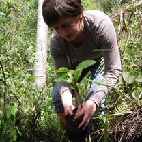 Environment Protection  Volunteering in Ecuador