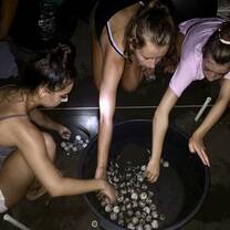 Sea turtle & marine conservation in Monterrico