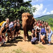 A group photo near an elephant. She was used for mating in a logging camp and has a broken hip from doing so. She's now enjoying life in her new home! 