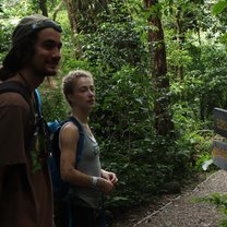 Visiting the Cloud Forest Reserve, in Monteverde