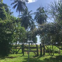From the inside of base looking out 