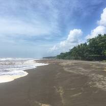 The beach 