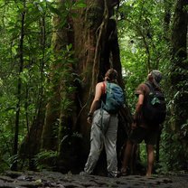 Weekend trip to the Monteverde Cloud Forest Reserve