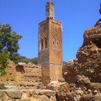 Chellah ruins