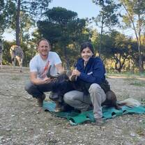 Immobilized Black Wildbeest