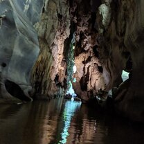 There were bats in this cave!