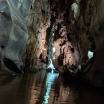 There were bats in this cave!