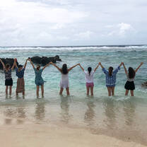 IVI volunteers lined up on paradise beach