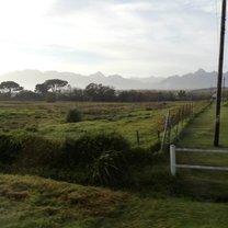 Some country life in Stellenbosch 