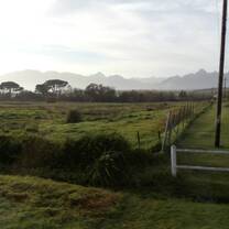 Some country life in Stellenbosch 