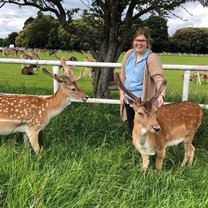 Feeding the Deer at Phoenix Park