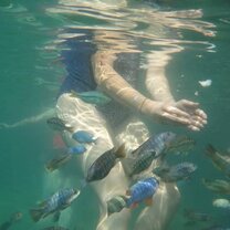 Trying to catch fish with my bare hands