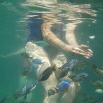Trying to catch fish with my bare hands
