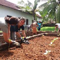 GVI: Internships in India