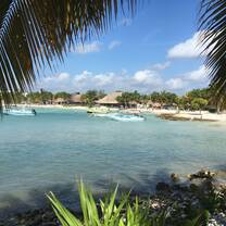 GVI: Internships in Mexico