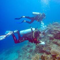 Diving in Caqalai