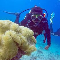 Marine expedition