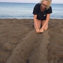 GVI: Wildlife Conservation Volunteering