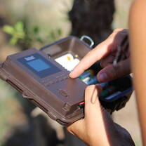 GVI: Wildlife Conservation Volunteering