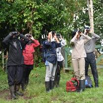 GVI: Wildlife Conservation Volunteering
