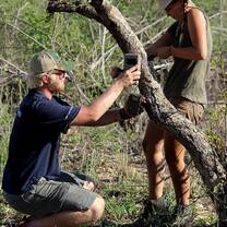 GVI: Wildlife Conservation Volunteering