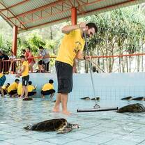 GVI: Wildlife Conservation Volunteering