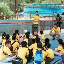 Sea turtle conservation