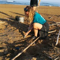 GVI: Internships in Greece