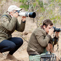 GVI: Wildlife Conservation Volunteering