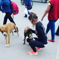 Loved this “street dog” who waited for me every day that I got on and off the bus