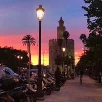 La hermosa Torre de Oro!