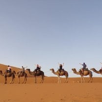 Weekend in the Sahara! 