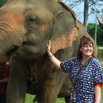 Petting an elephant 