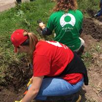 Volunteers contributing to sustainable agriculture