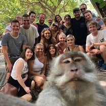Monkey Forrest Monkey Selfie