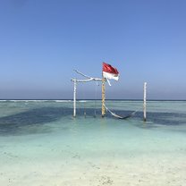 Sunset swing on Gili T!