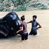 Washing