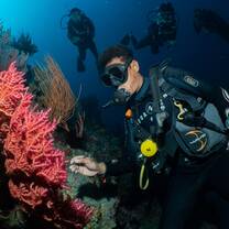 Guide ong showing guests the wonderful coral of Gili Air
