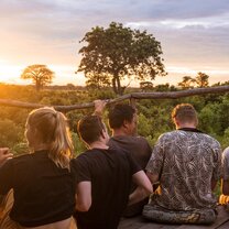 Weekend Safari