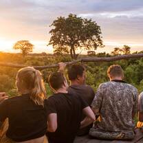 Weekend Safari